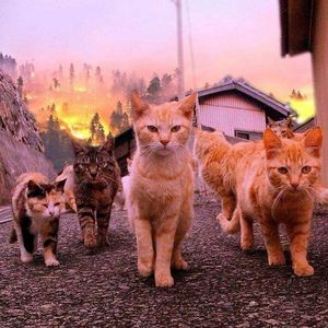 180DmEDKTYPE@节拍大王