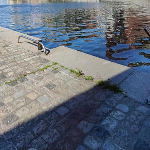 Guastafeste (Sciocchina Cretina)