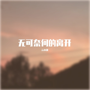 云小洲-无可奈何的离开（云小洲 remix）