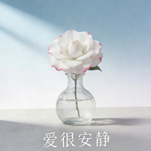 爱很安静