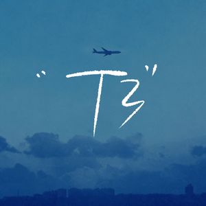 T3