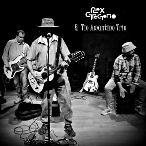 Não Ando na Rua (Haikais de Helena Kolody)