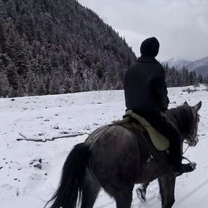 写给外公外婆的歌