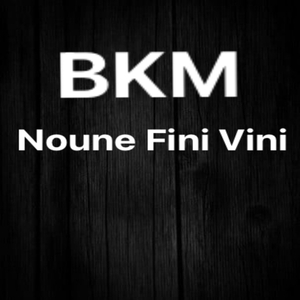 Noune Fini Vini