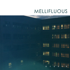 듣고 싶었던 말