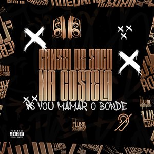 Cansei de soco na costela vs Vou mamar o bonde