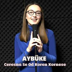 Ceresna Se Od Koren Kornese