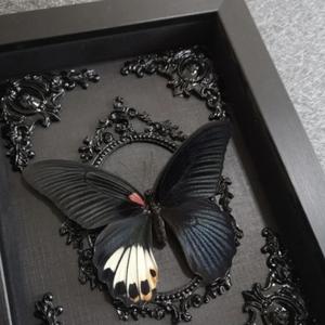 为什么不说话（cover）