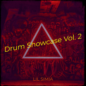 Savage Drummin' monkey