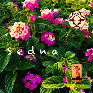 Sedna