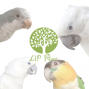 547 (feat. 엄프와 아이들)