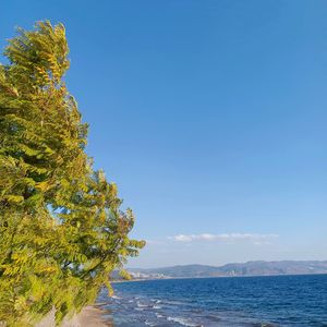 甜蜜约定 (Sweet Promise)