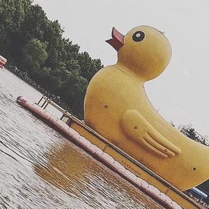 我去长风看海豚