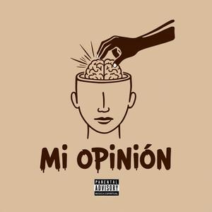 Mi opinión