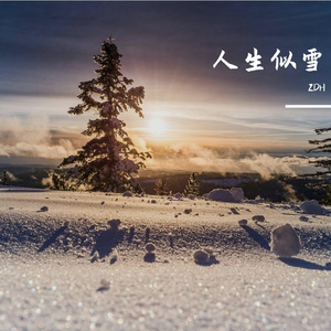 人生似一场雪