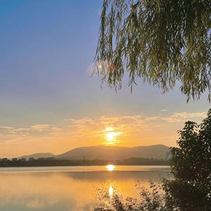 recall(prod by ZCBEAT)