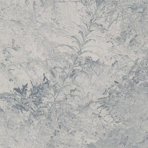 Read'll Twice do the Transcendental