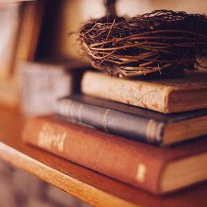 幻听（翻自 许嵩你好我叫高丹妮）