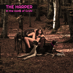 In the name of Grohl