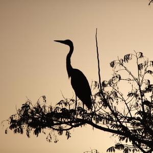כשיבוא היום