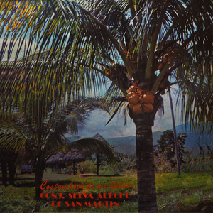 Mangual de Pasaraya
