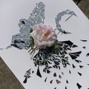 碎玻璃（Cullet）