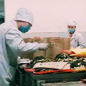 大医精诚（Prod by 9Zi）