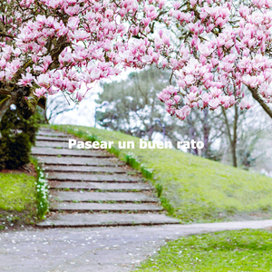 Grand Ambiance for Spotless Mind