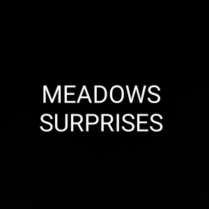 MEADOWS SURPRISES