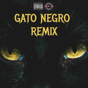 Gato Negro Remix