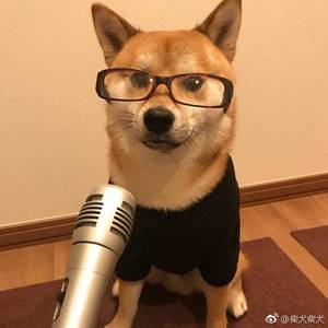 别故人（Cover 小爱的妈 / 莲琊 / 陈鹏杰）