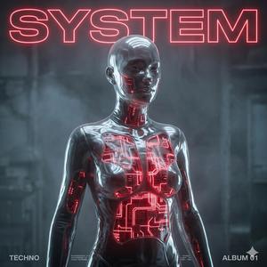SYSTEM