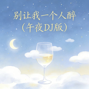 别让我一个人醉 (午夜DJ版)