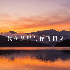 我在梦里与你再相见