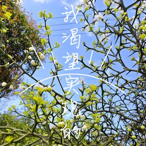 我渴望实现的(Prod by FakeBlood)