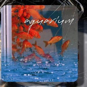 鱼缸（Prod.Gr33nart Beats）