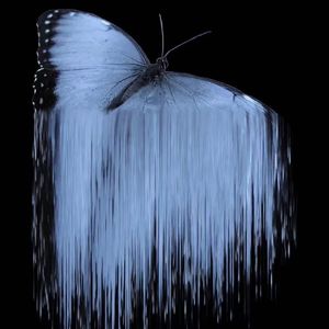 BlockFP（ prodbyKiliankeys）