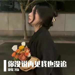 你没说再见我也没追 伴奏
