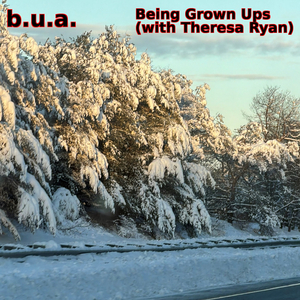 Being Grown Ups (with Theresa Ryan)