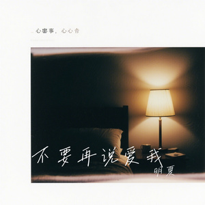 不要再说爱我