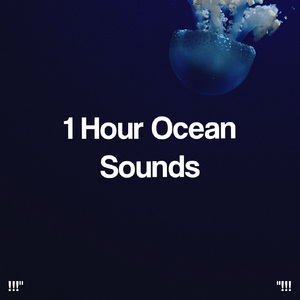 大海之声深睡眠