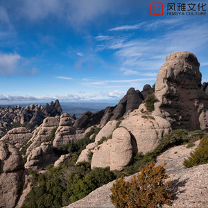 占据我的窗 -钢琴