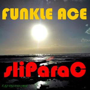 sliParaC