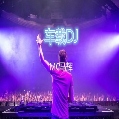 我想去旅行 (DJ版)