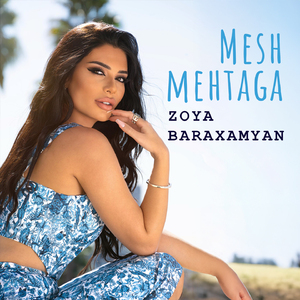 Mesh Mehtaga