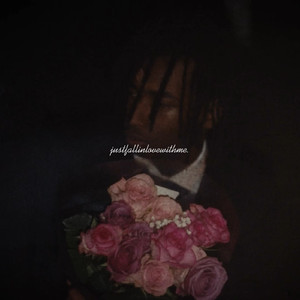 justfallinlovewithme.