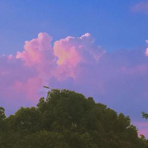 云烟成雨（cover：房东的猫）