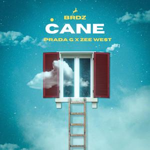 CANE