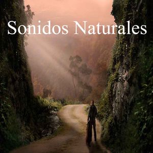Sonidos Naturales