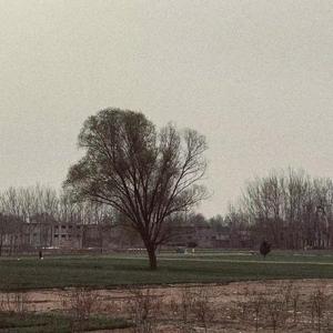 这一生关于你的风景